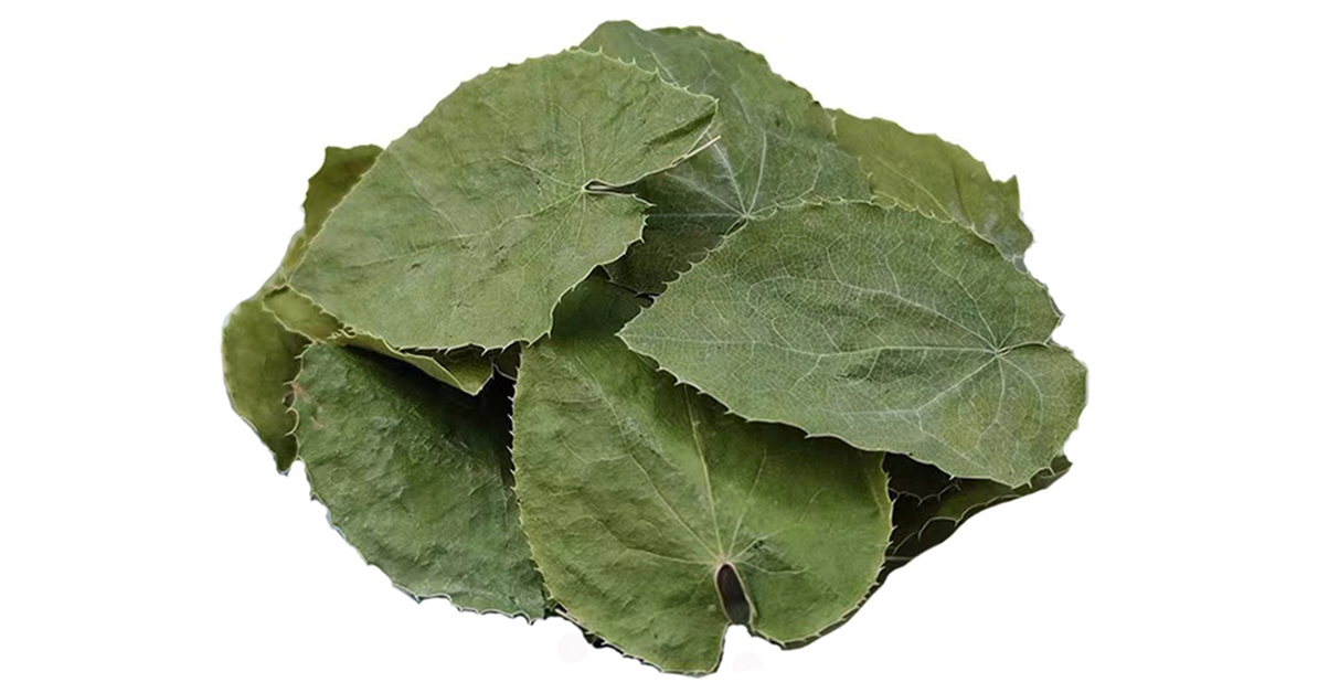 Epimedium Extract